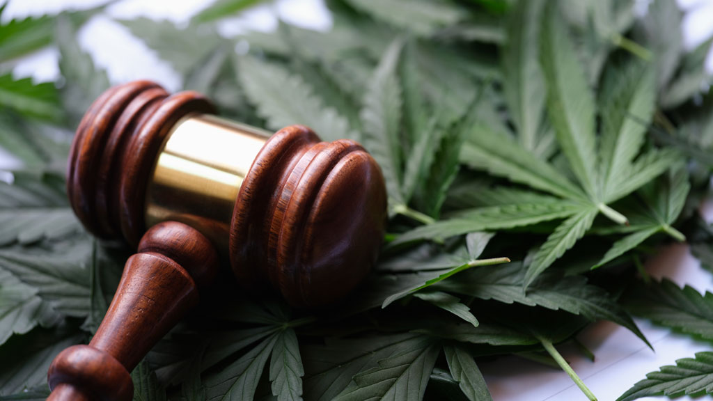 Homme quarantaine consultant document sur tablette dans bureau moderne